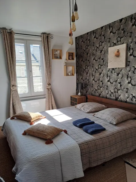Atypical pretty apartment in the center of Saumur, 3 bedrooms, 2 to 7 people - Image 1