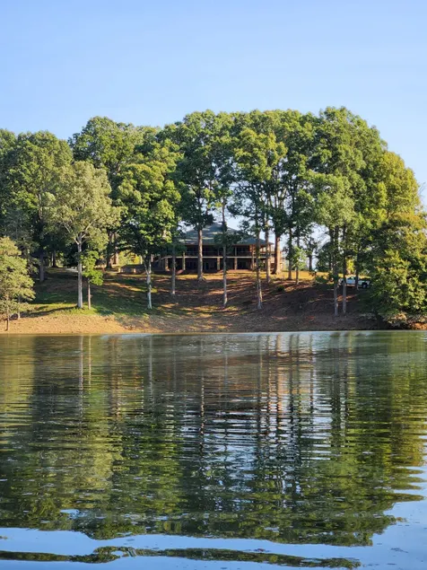 The Oasis - Image 1