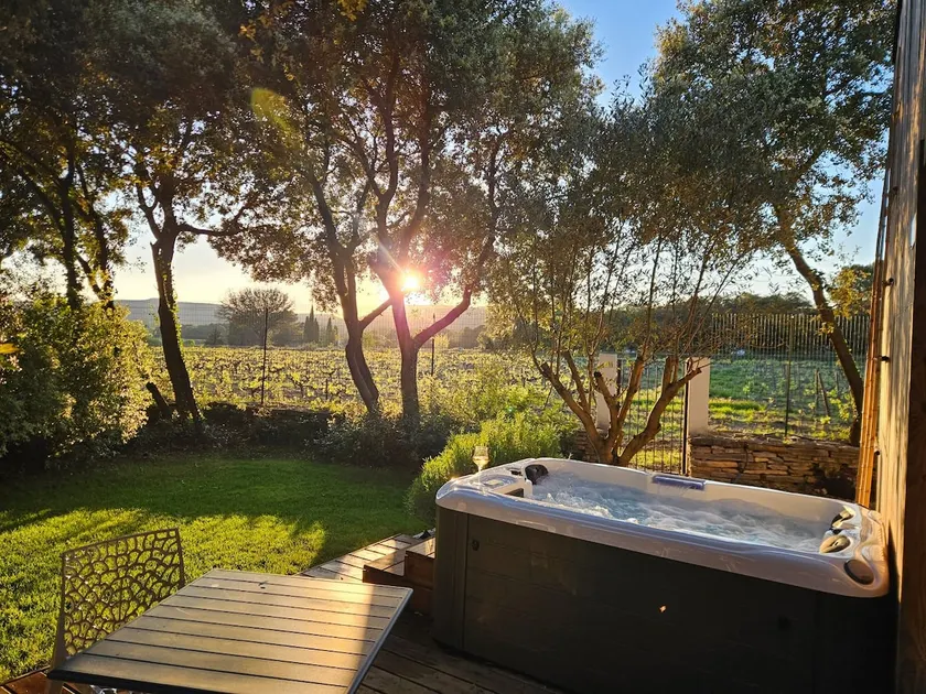 Gîte Le Puech, with spa, countryside, vineyard, rest - Image 1