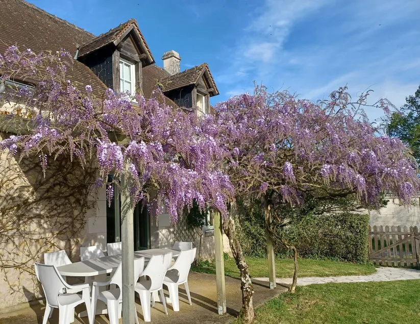 Beautiful cottage in a bucolic setting - Image 1