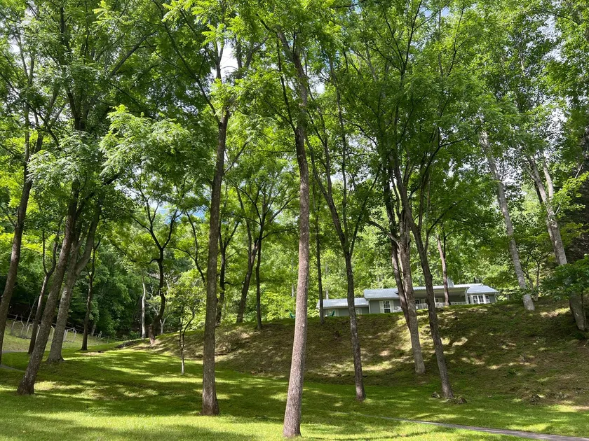 Mountain views yet convenient to town! - Image 1