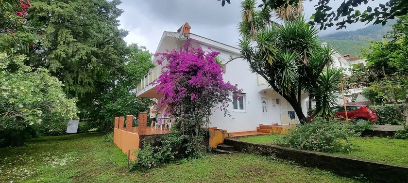 Villa Alge (large villa 40 meters from the sea) - Image 1