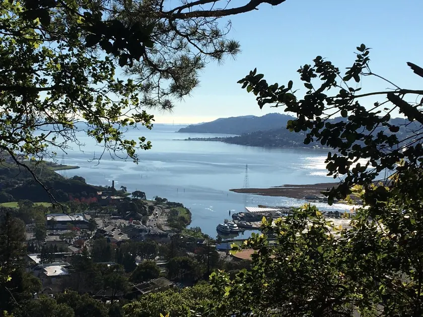 Earthly Oasis in Marin (64 degrees & parking) - Image 1