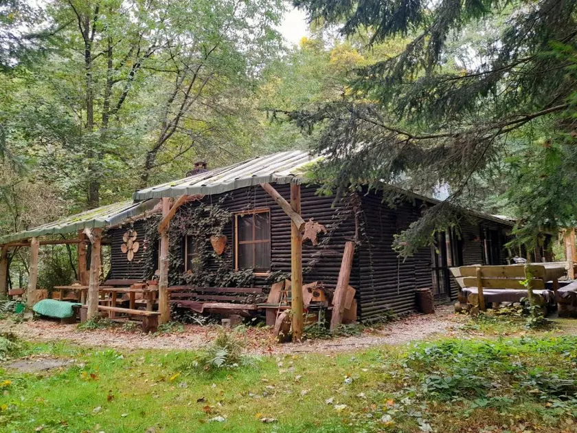 Holiday apartment ”Eulentreff” in the Wilden Auwaldhaus - Image 1