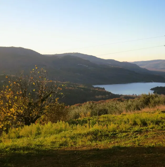 Cozy guest house with amazing view - Image 1