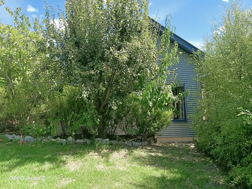 Crepe Myrtle Cottage Beechworth - Image 1