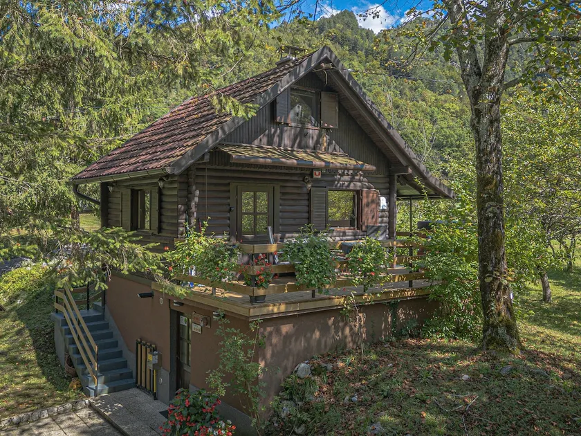 Vila Rozi, Osilnica - vacation house Pr' Vili Rozi - Image 1