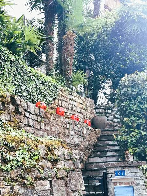 Casa le palme -Montagnola - Image 1