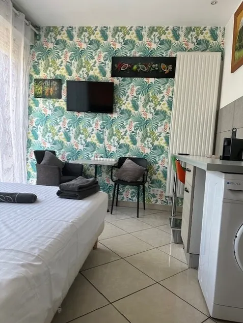 L'Eden Tassin - Air conditioning & Close to Lyon center - Image 1