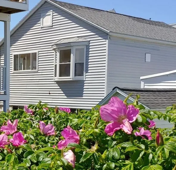 2 Bedroom Beach Bungalow, Steps from the Beach! - Image 1