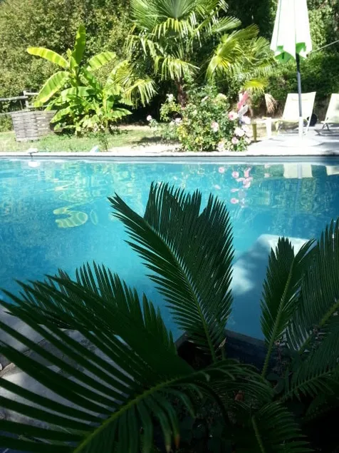 large family home - pool and garden - Image 1