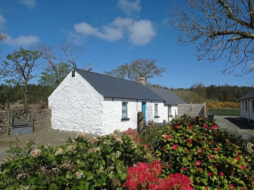 Cosy Cottage on the Causeway coast and Glens - Image 1