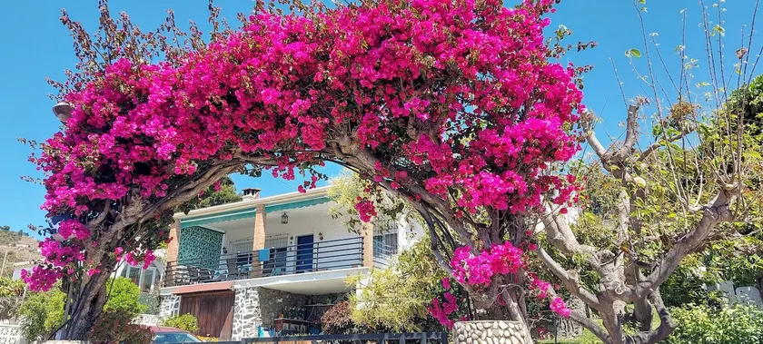 Cozy and comfortable garden & sea views. WIFI-A/C - Image 1