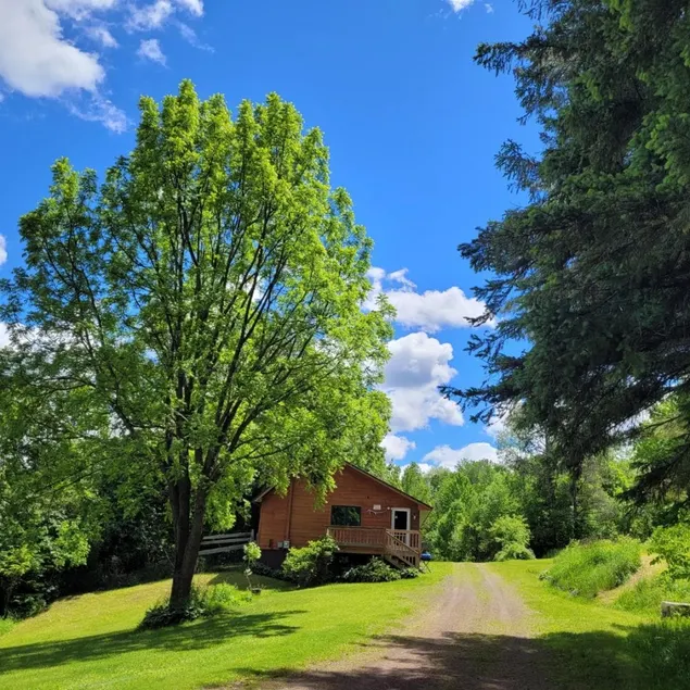 Woodlands Wild Cabin on 35 Acres - dog friendly - Image 1