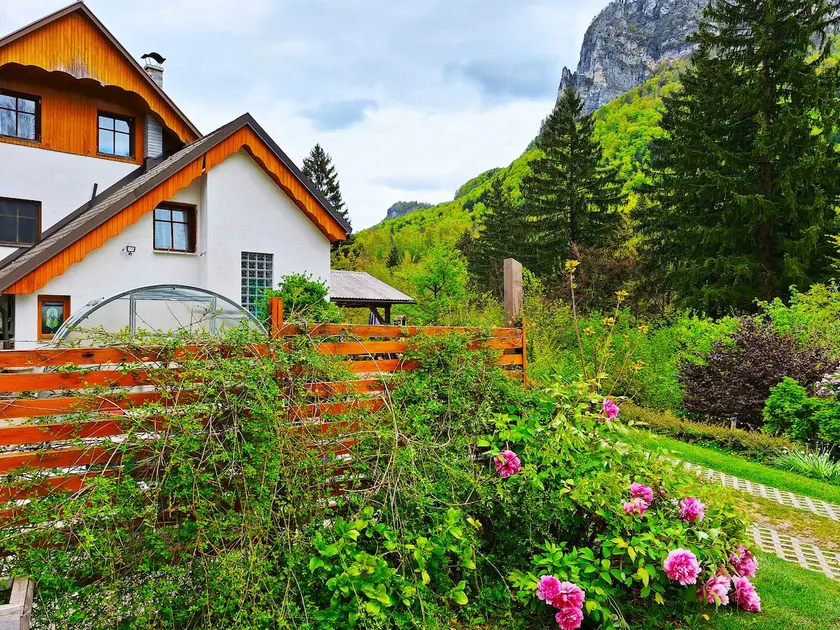 Tree root - InGreen house with summer pool - Image 1