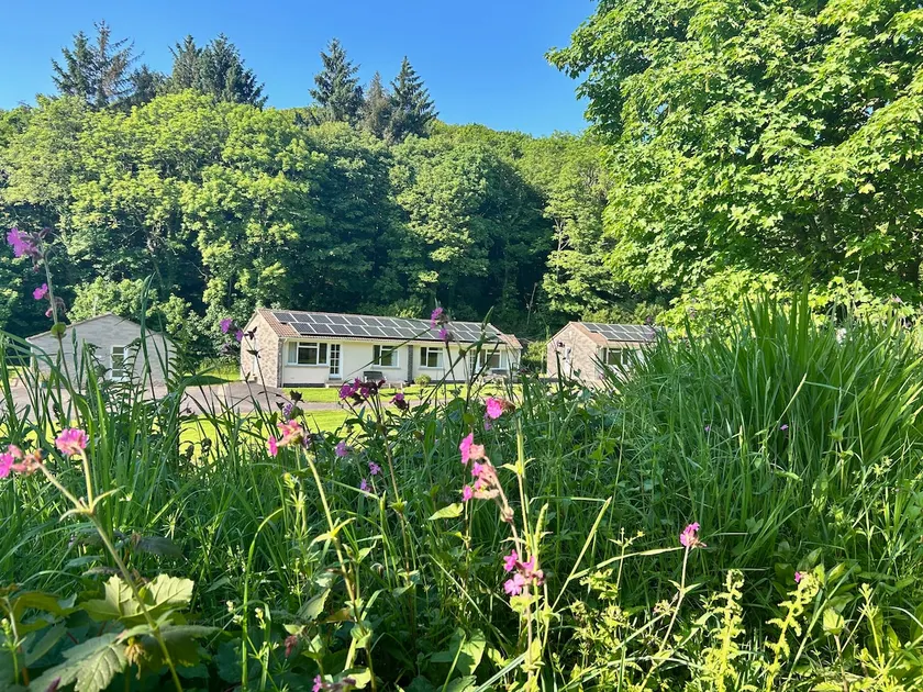 Dog friendly, minutes from coast - Sleeps 4 - Image 1