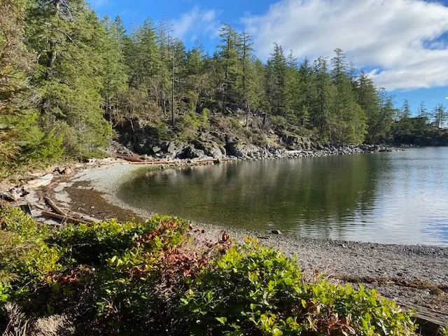 Michelle's Cove Walk on beach, kayaking, relaxing - Image 1