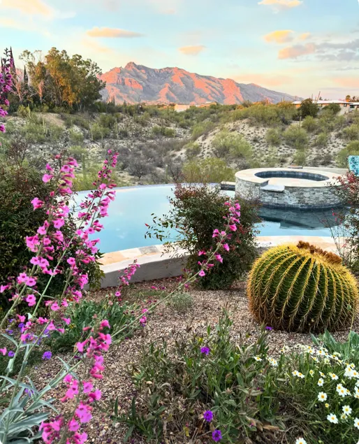 Catalina Foothills Deluxe Guest Suite - Image 1