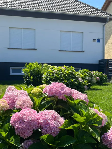 Apartment House 150 - Image 1