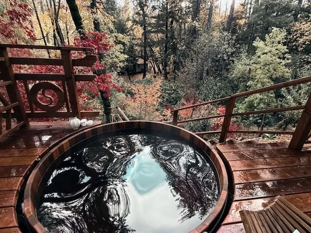 Creekside Zen Writer's Cabin, Hottub, Tearoom - Image 1