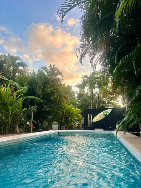 Tropical Little House / 4 - Image 1