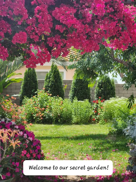 Beautiful, private, peaceful guest house - Image 1