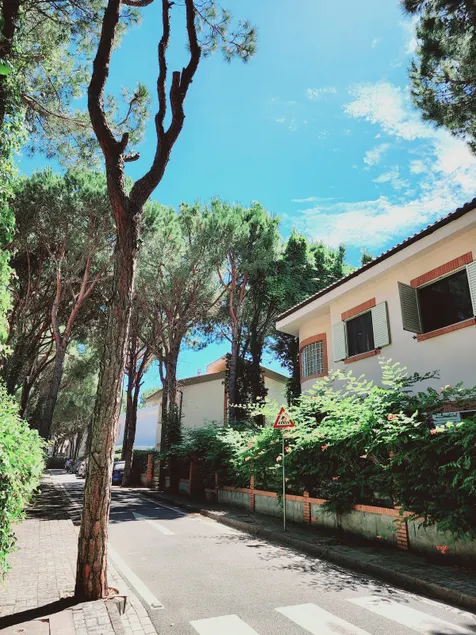 Pinetrees Gem Villa Golem - Image 1