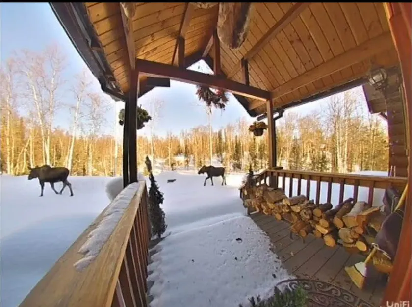 Talkeetna Alaska Lakeside Lodge - Image 1