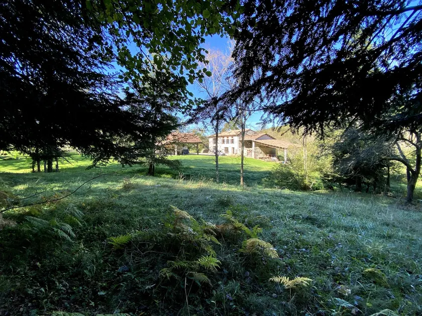 Cottage in the countryside, nature and relaxation - Image 1