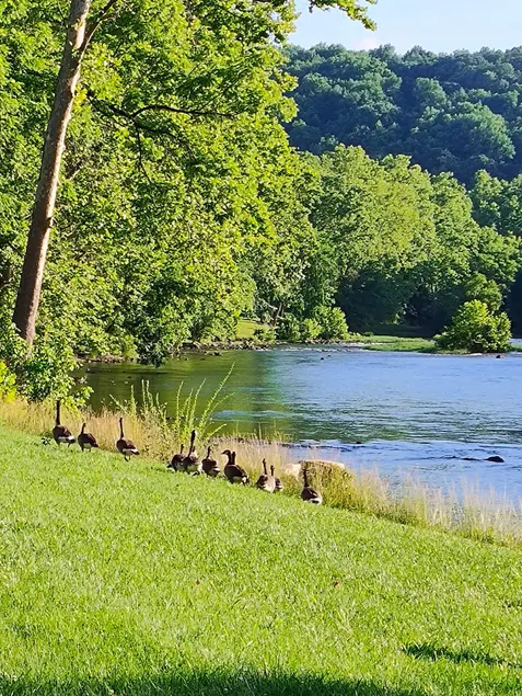 Little River Escape-Hot Tub -River Front-Fishing - Image 1