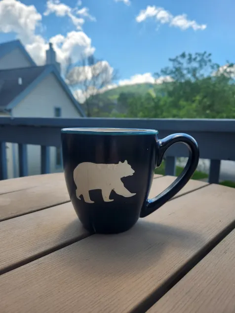 Bear Lodge - Image 1
