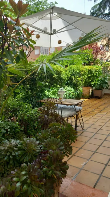 Casa Alita - Image 1