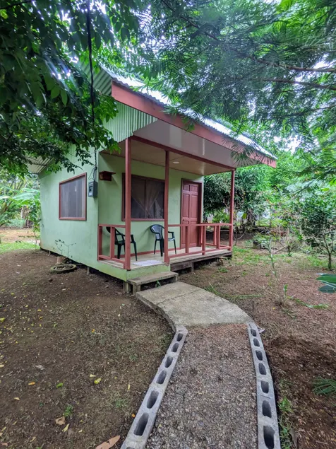Ana´s paradise in the forest 1 - Image 1