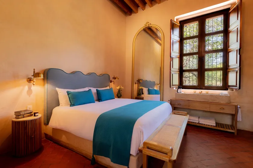Luxury Vineyard Estate, Services Included - Image 1