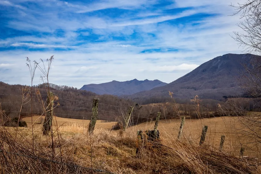 Let your imagination run wild at Just Squatchin - Image 1