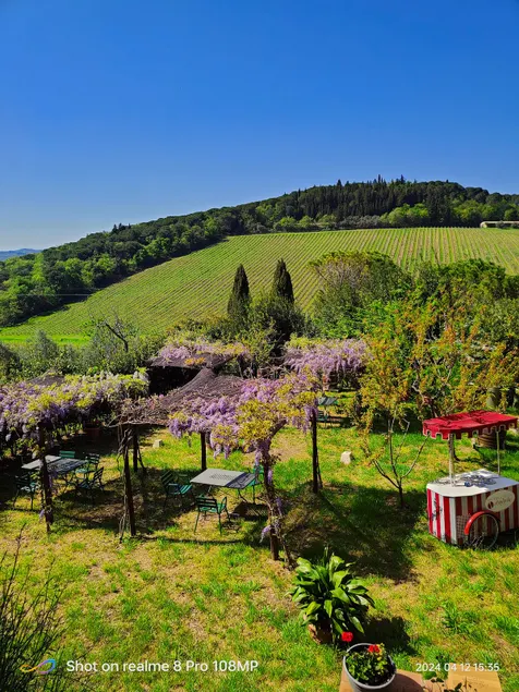 Chianti shire Peace, spirituality art and history - Image 1