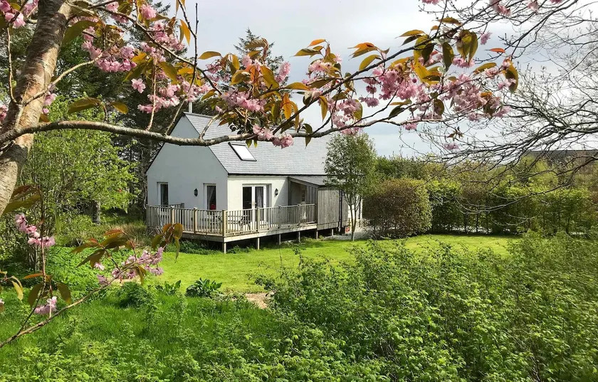 Blossom Folly - Image 1