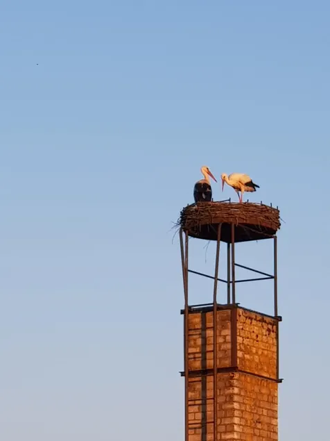 Stork's Nest Vacation Home - Image 1