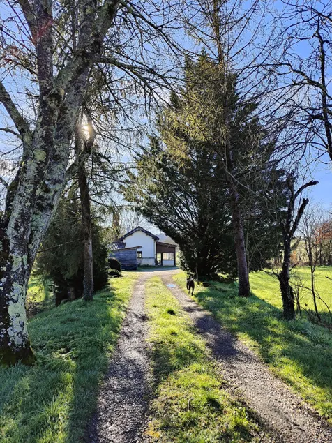 House by the river - Image 1