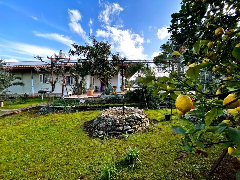 The Garden of Bea - Cozy Outdoor Villa - Image 1