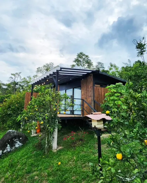 Manoah: cabin in the mountains 2 - Image 1