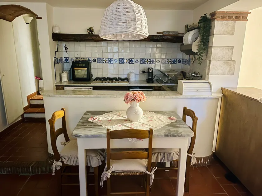 Rustic with garden between Forte and Pietrasanta - Image 1