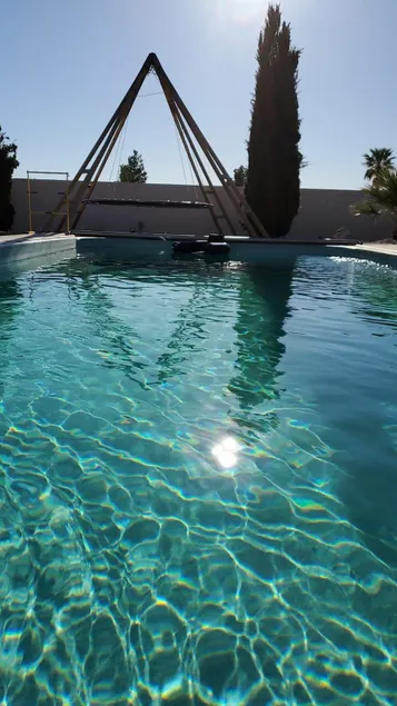 Gamebird Oasis- Take the plunge! - Image 1