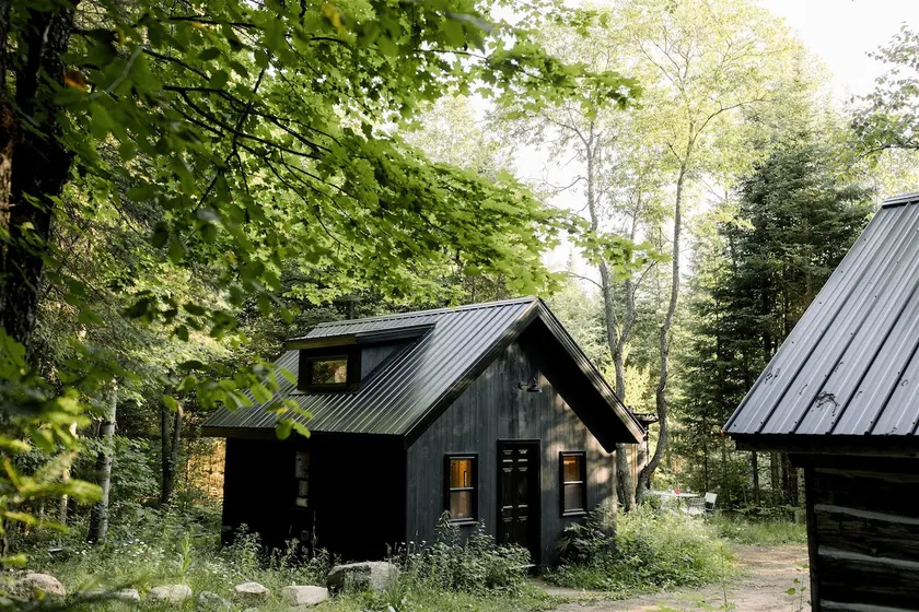 Cozy Cabin in the Woods w/ Sauna - Image 1