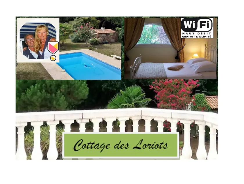 Charming and bright new flat - Image 1