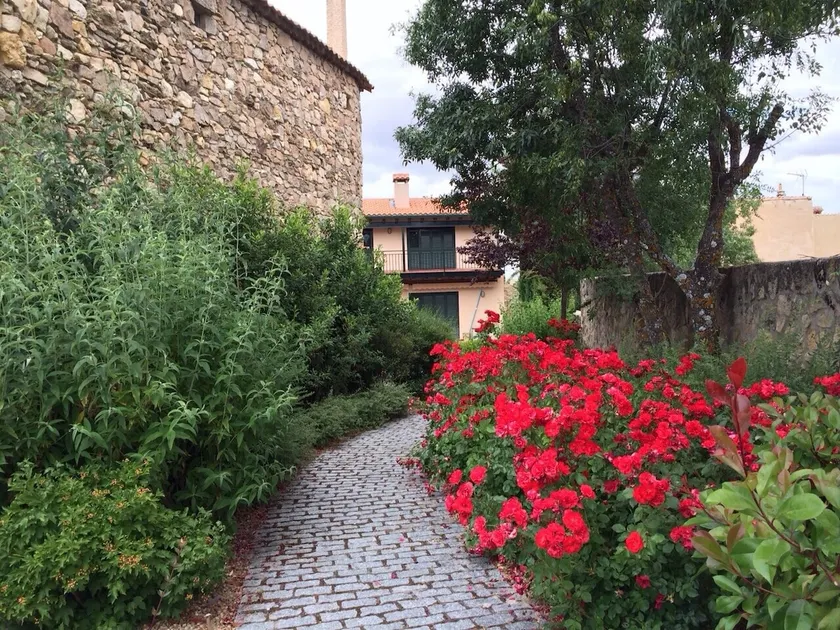 The meeting at country-side Segovia - Image 1