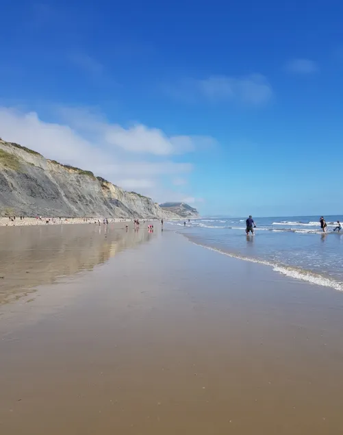Cosy Jurassic Coast Cottage - Beach 10 min Walk - Image 1