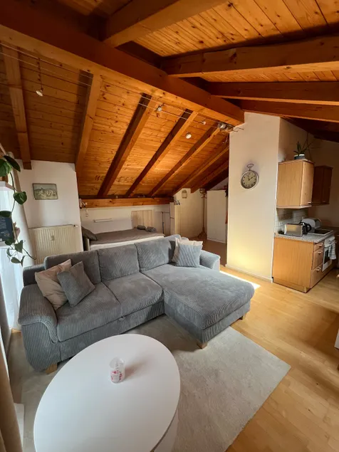 Cozy attic apartment with balcony near Salzburg - Image 1