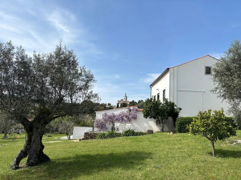 Quinta das Amoras - In the heart of the olive groves - Image 1