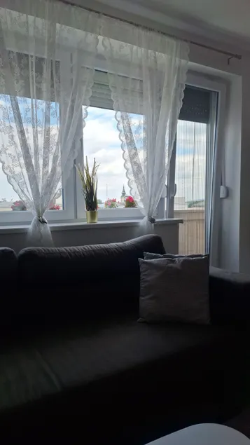 Apartment in Zemun - Image 1